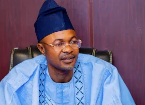 Adeyemi named Tinubu, Wike, Akume, others on PFIPC board – Reps panel